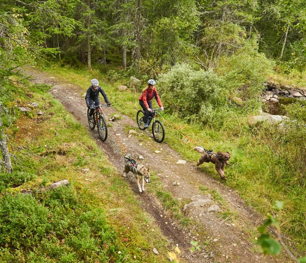 Non-stop dogwear Mehr Transport & Unterwegs > Bikeantenne für Hundeleinen, ca. L49 cm