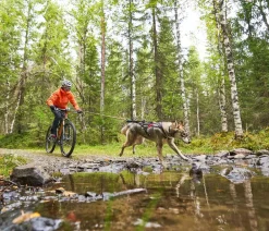 Non-stop dogwear Mehr Transport & Unterwegs > Bikeantenne für Hundeleinen, ca. L49 cm