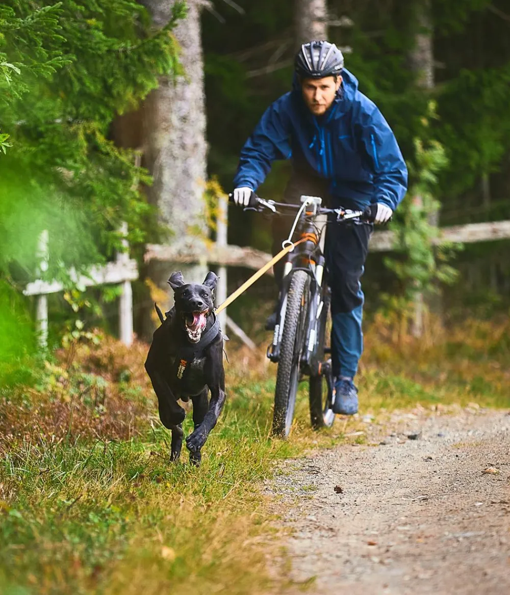 Non-stop dogwear Mehr Transport & Unterwegs > Bikeantenne für Hundeleinen, ca. L49 cm