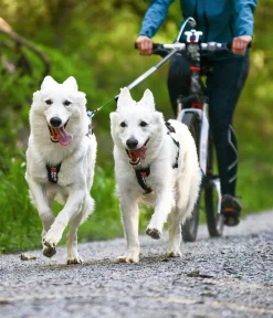 Non-stop dogwear Mehr Transport & Unterwegs > Bikeantenne für Hundeleinen, ca. L49 cm