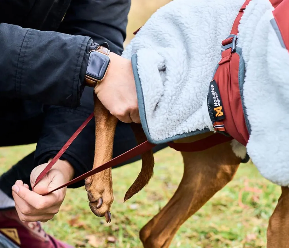 Non-stop dogwear Mehr Hundezubehör > Hunde-Fleecejacke Trekking fleece dog jacket, grau//