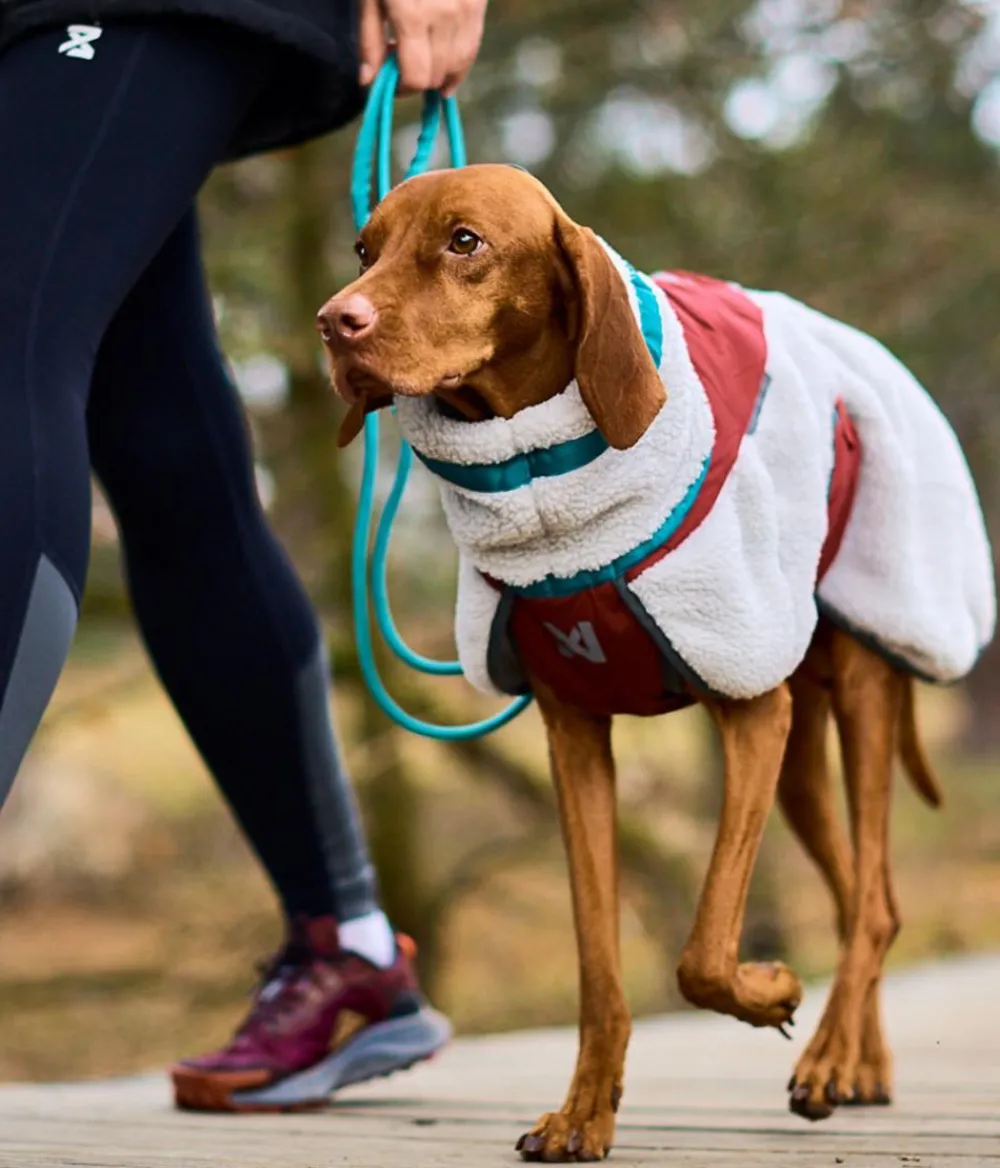 Non-stop dogwear Hunde-Fleecejacke Trekking fleece dog jacket, grau// Best