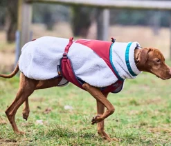 Non-stop dogwear Hunde-Fleecejacke Trekking fleece dog jacket, grau// Best