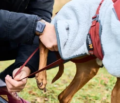 Non-stop dogwear Mehr Hundezubehör - Hunde-Fleecejacke Trekking fleece dog jacket, grau//