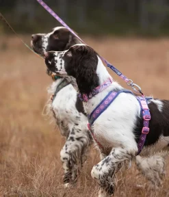 Non-stop dogwear Hundehalsbänder & Geschirre > Hundegeschirr Line Harness 5.0 Rachel Pohl Signature Edition, purple/