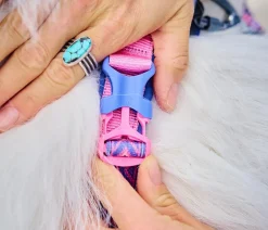 Non-stop dogwear Hundehalsbänder & Geschirre > Hundegeschirr Line Harness 5.0 Rachel Pohl Signature Edition, purple/