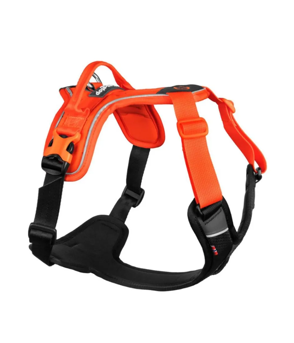 Non-stop dogwear Hundehalsbänder & Geschirre > Hundegechirr Rabe harne, /