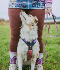 Non-stop dogwear Hundehalsbänder & Geschirre - Hundegeschirr Line Harness 5.0 Rachel Pohl Signature Edition, purple/