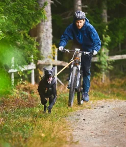 Non-stop dogwear Hundeleinen > Hundeleine Bungee leash, /