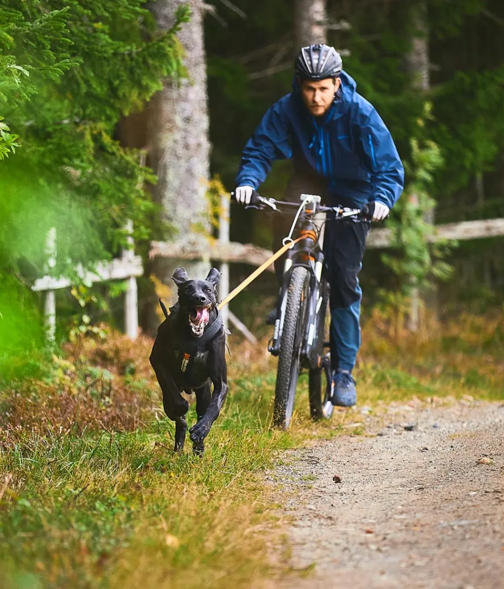 Non-stop dogwear Hundeleinen > Hundeleine Bungee leash, /