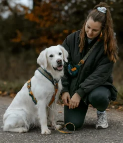 Non-stop dogwear Hundeleinen > Hundeleine Trail Quest Rachel Pohl Signature Edition, teal/oak, 2 m