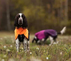 Non-stop dogwear Mehr Hundezubehör > Hunde-Regenmantel Fjord raincoat, /
