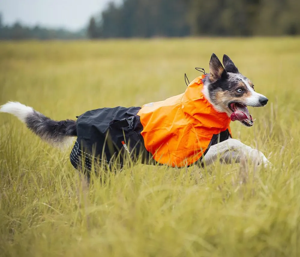 Non-stop dogwear Hunde-Regenmantel Fjord raincoat, / Sale
