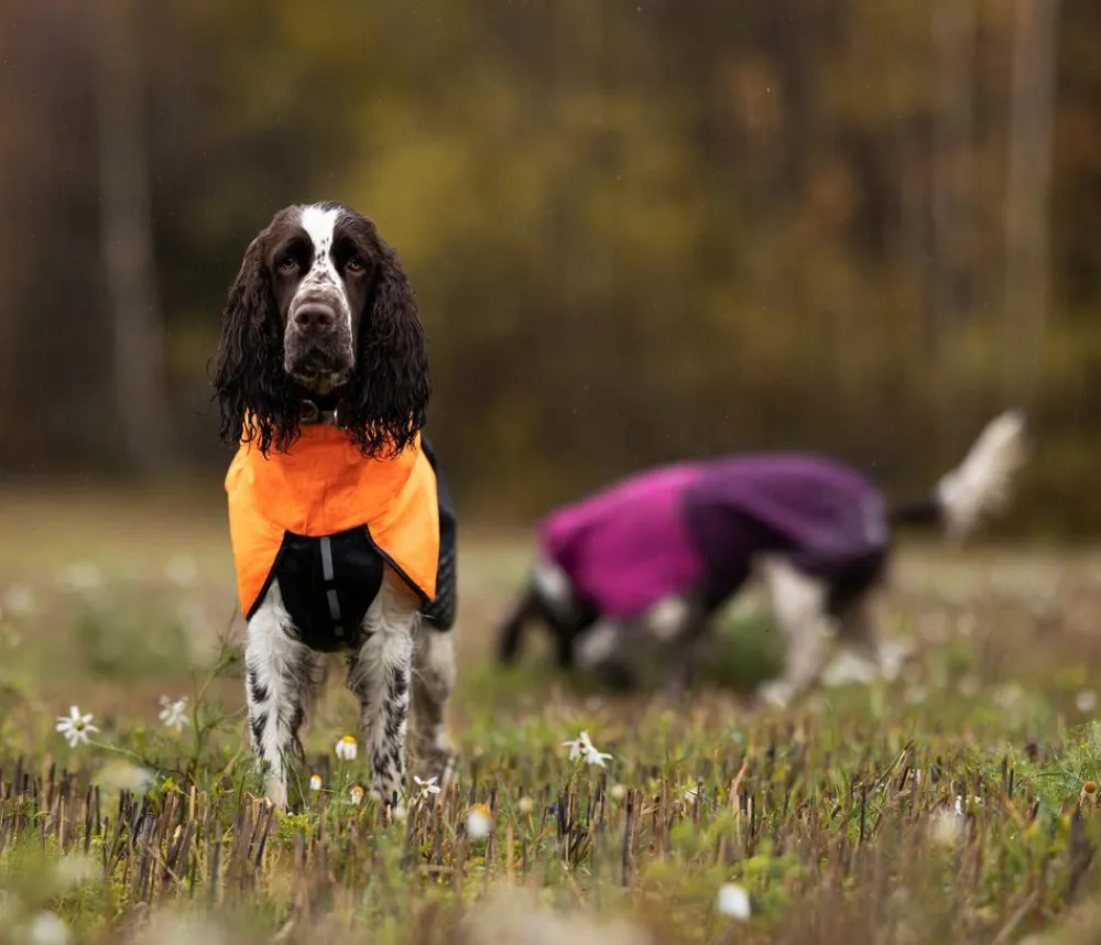 Non-stop dogwear Mehr Hundezubehör - Hunde-Regenmantel Fjord raincoat, /