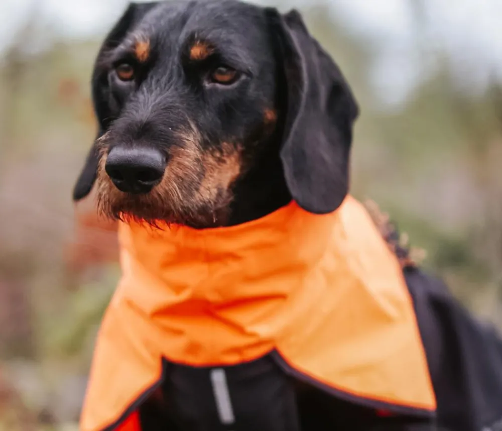 Non-stop dogwear Mehr Hundezubehör - Hunde-Regenmantel Fjord raincoat, /