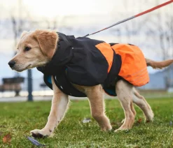 Non-stop dogwear Mehr Hundezubehör > Hunde-Wintermantel Glacier jacket 2.0, /