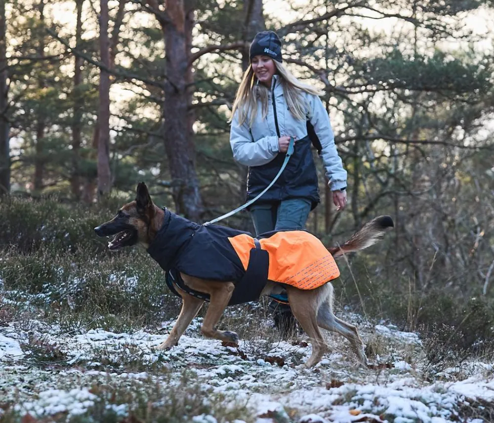 Non-stop dogwear Hunde-Wintermantel Glacier jacket 2.0, / New