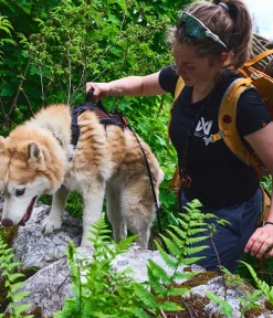 Non-stop dogwear Hundehalsbänder & Geschirre > Mehrzweck-Hundegeschirr Rock harness long, /