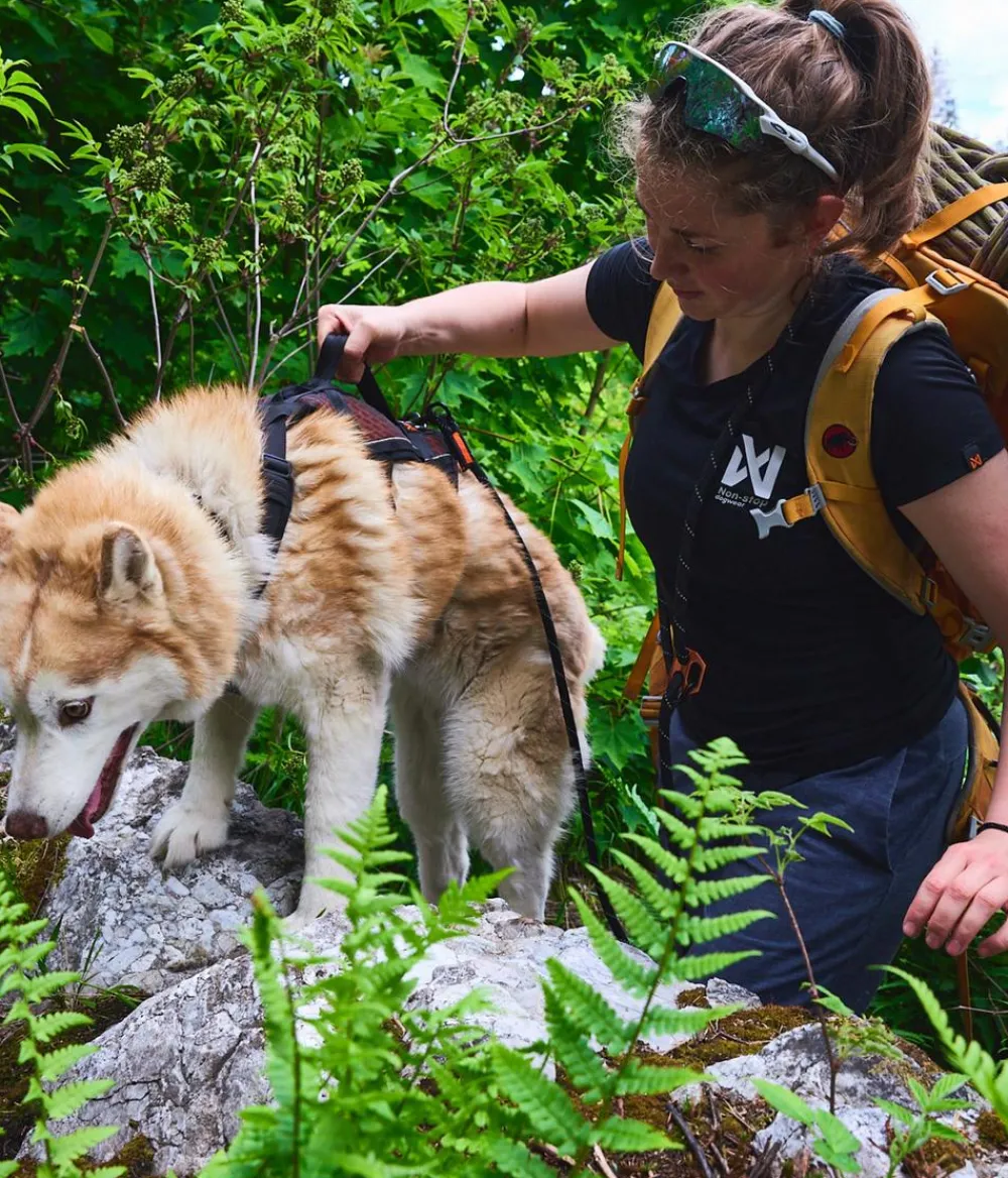 Non-stop dogwear Hundehalsbänder & Geschirre > Mehrzweck-Hundegeschirr Rock harness long, /