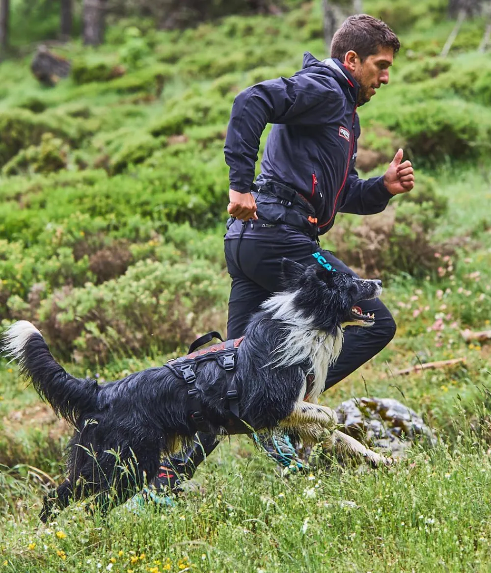 Non-stop dogwear Hundehalsbänder & Geschirre > Mehrzweck-Hundegeschirr Rock harness long, /