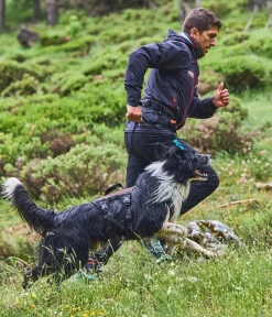 Non-stop dogwear Mehrzweck-Hundegeschirr Rock harness long, / Online