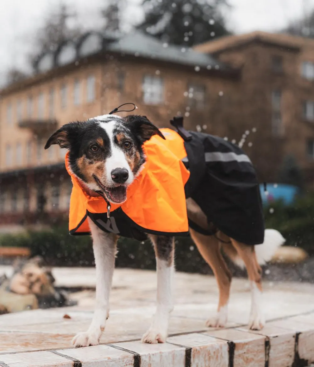 Non-stop dogwear Mehr Hundezubehör > Regenmantel Fjord raincoat 2.0, schwarz/