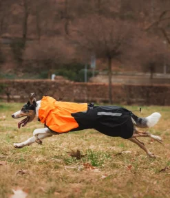 Non-stop dogwear Mehr Hundezubehör > Regenmantel Fjord raincoat 2.0, schwarz/