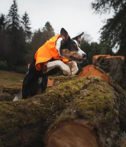 Non-stop dogwear Mehr Hundezubehör > Regenmantel Fjord raincoat 2.0, schwarz/