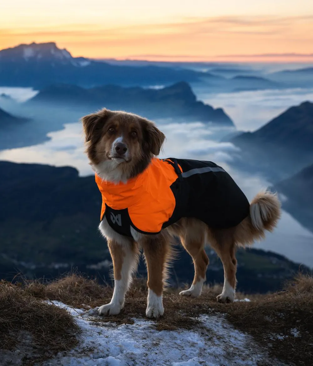 Non-stop dogwear Mehr Hundezubehör - Regenmantel Fjord raincoat 2.0, schwarz/ Orange