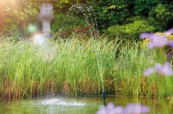 Oase Gartenteich·Teichpumpen & Teichtechnik|Teichpumpen & Teichtechnik - Aquarius Fountain Set Classic 3000 E