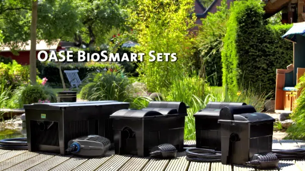 Oase BioSmart-Set 5000 Schwarz Clearance