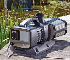 Oase Pumpe Aquarius Eco Expert 36000 Schwarz Discount