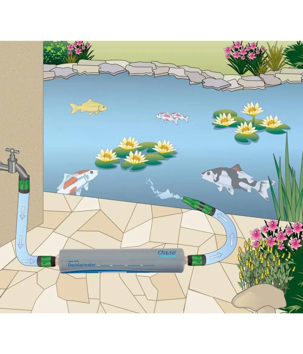 Oase Gartenteich·Teichzubehör & Teichpflege|Teichzubehör & Teichpflege - Wasseraufbereiter Dechlorinator