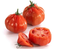 Dehner Ochsenherztomate 'Fleurette' Rot Best