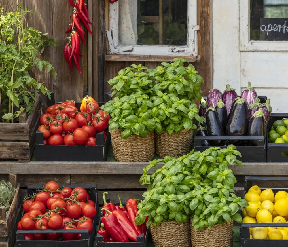 Dehner Ochsenherztomate 'Fleurette' Rot Best
