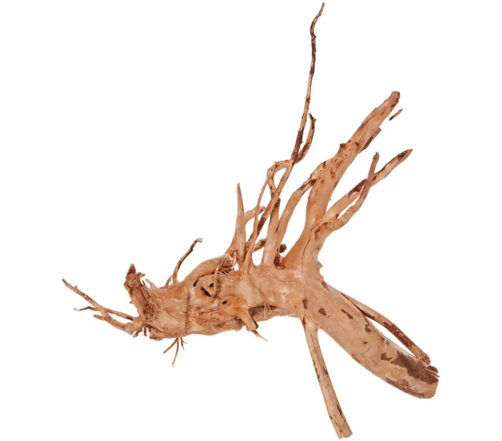 ORBIT® Orbit Aquarium-Deko Fingerwurzel, ca. B30-40 cm Online