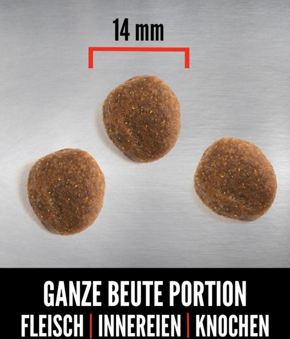 Orijen Trockenfutter Hund > ™ Trockenfutter für Hunde Six Fish