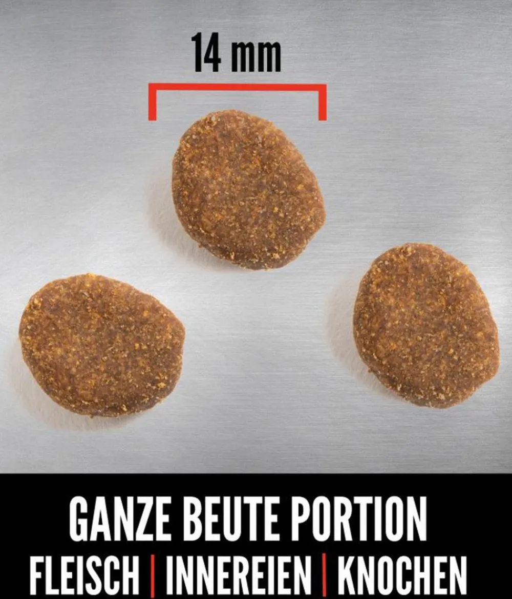 Orijen Trockenfutter Hund - ™ Trockenfutter für Hunde Regional Red