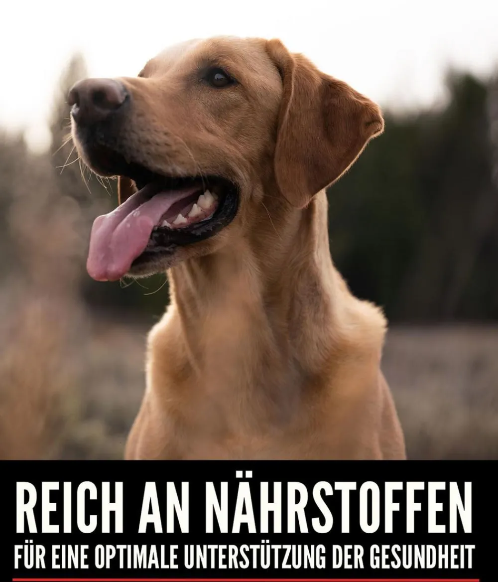 Orijen Trockenfutter Hund - ™ Trockenfutter für Hunde Regional Red