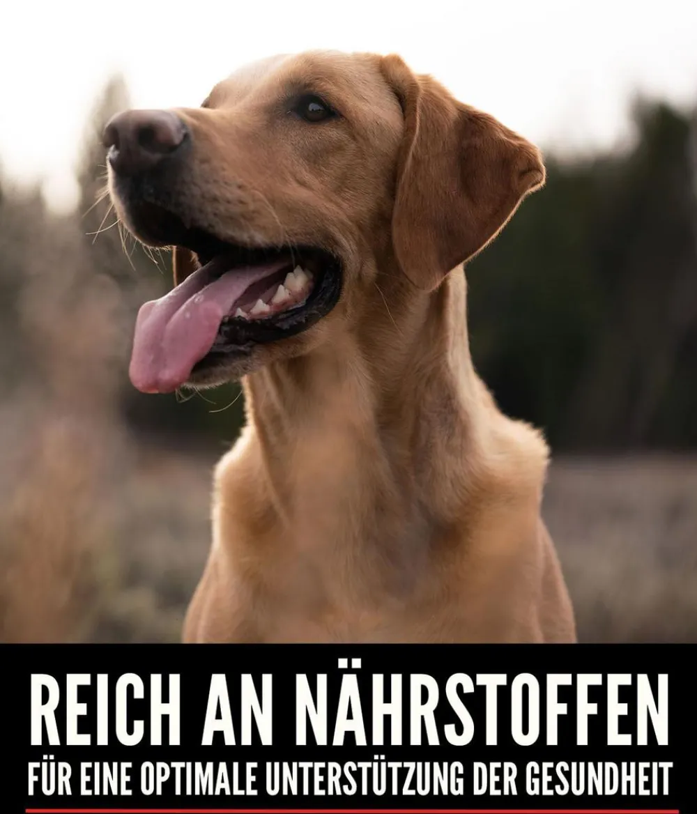 Orijen Trockenfutter Hund > ™ Trockenfutter für Hunde Small Breed