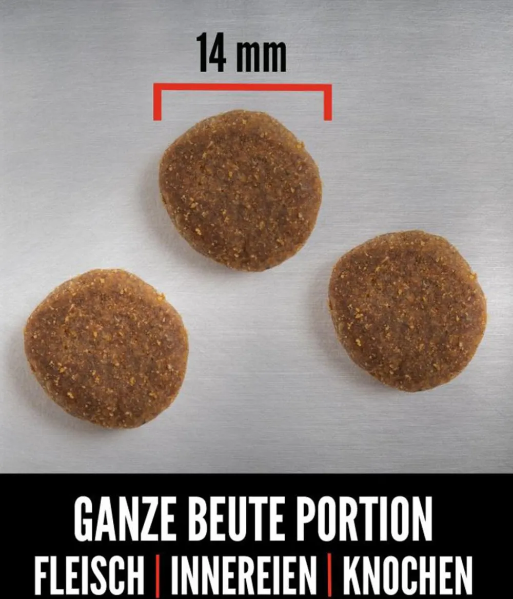 Orijen Trockenfutter Hund > ™ Trockenfutter für Hunde Small Breed