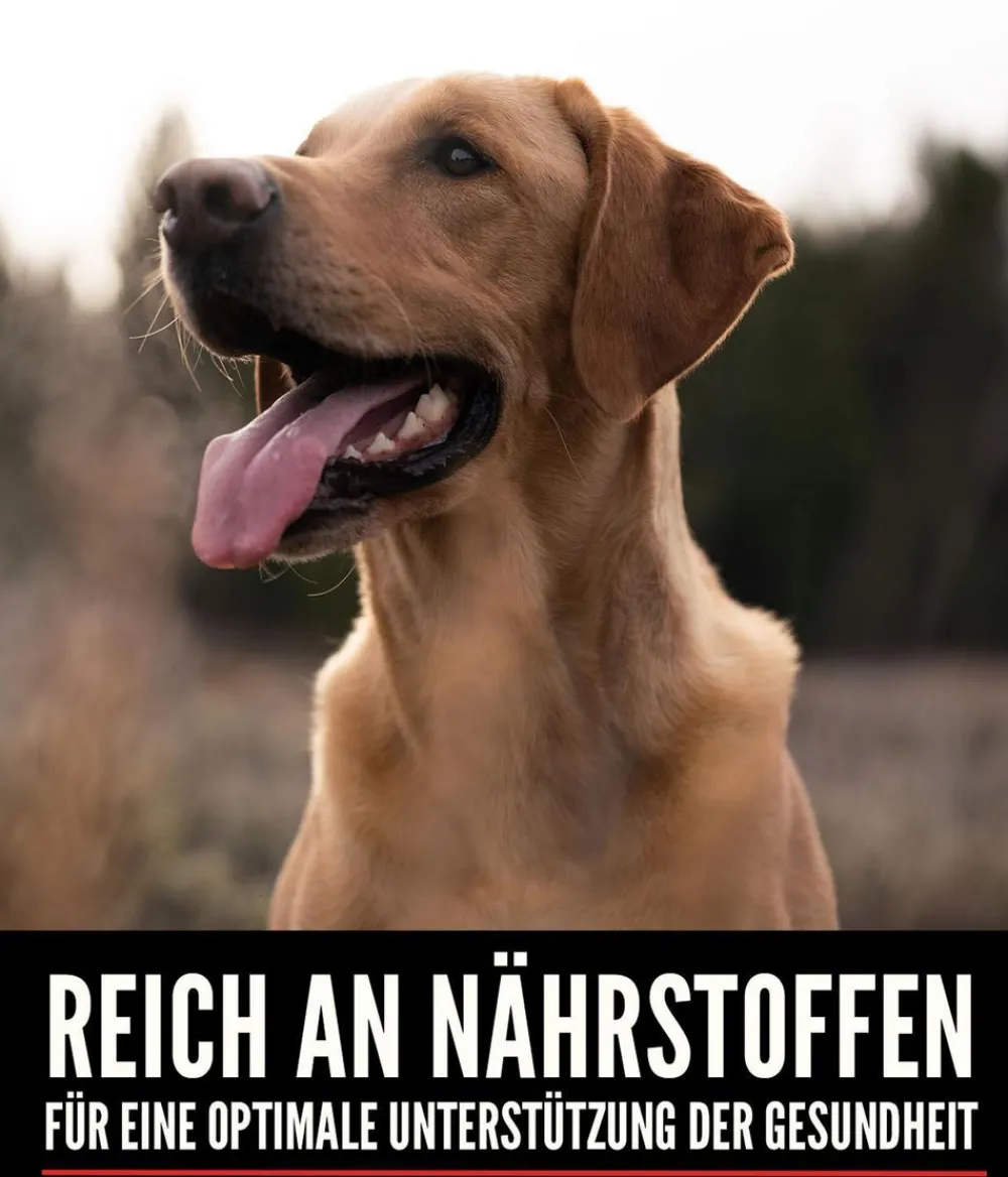 Orijen ™ Trockenfutter für Hunde Six Fish New