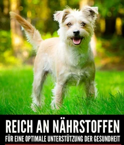 Orijen ™ Trockenfutter für Hunde Small Breed