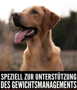 Orijen ™ Trockenfutter für Hunde Fit & Trim Best