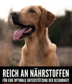 Orijen Trockenfutter Hund - ™ Trockenfutter für Hunde Tundra