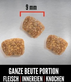 Orijen Trockenfutter Hund > ™ Trockenfutter für Hunde Small Breed Puppy
