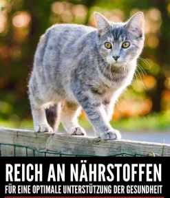 Orijen Trockenfutter Katze > ™ Trockenfutter für Katzen Kitten