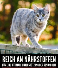 Orijen Trockenfutter Katze > ™ Trockenfutter für Katzen Six Fish