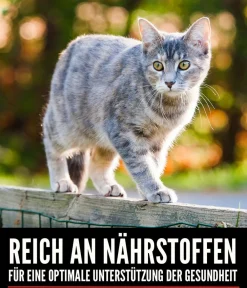 Orijen ™ Trockenfutter für Katzen Regional Red Hot