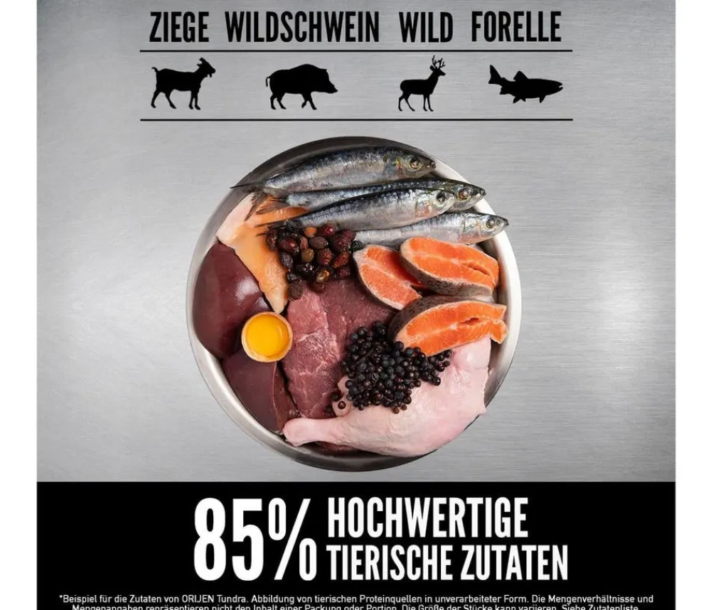 Orijen Trockenfutter Katze - ™ Trockenfutter für Katzen Tundra